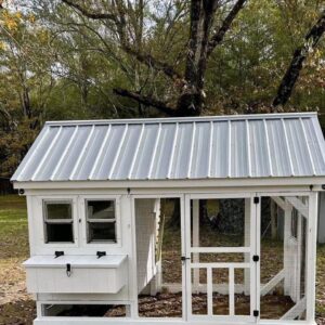 Chicken Coop Model 01
