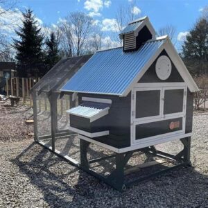 Chicken Coop