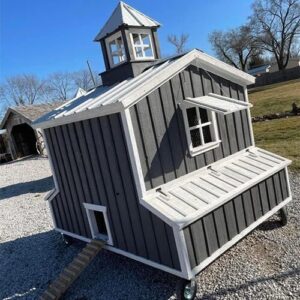 Chicken Coop